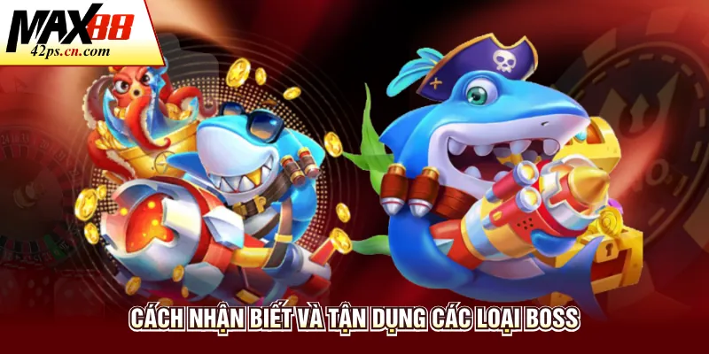 Cách nhận biết và tận dụng các loại Boss