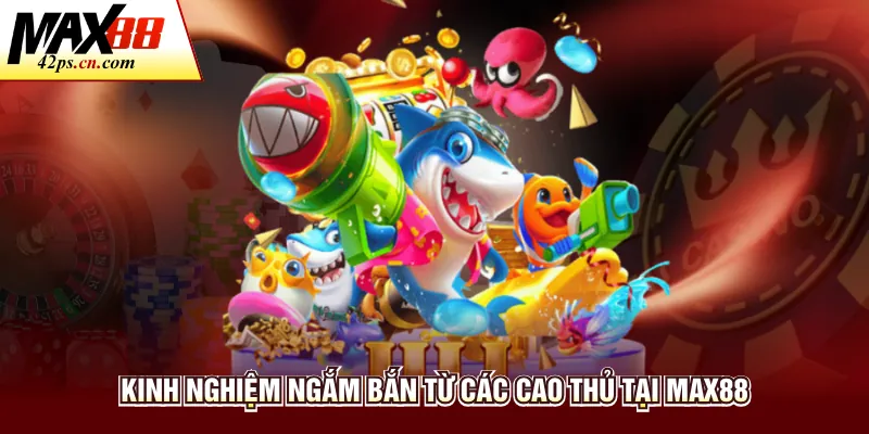 Kinh nghiệm ngắm bắn từ các cao thủ tại Max88