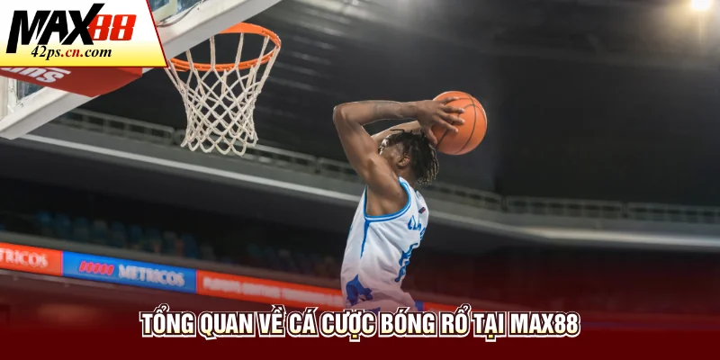 Tổng quan về cá cược bóng rổ tại Max88